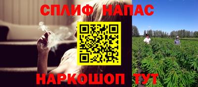 стаф Краснодар