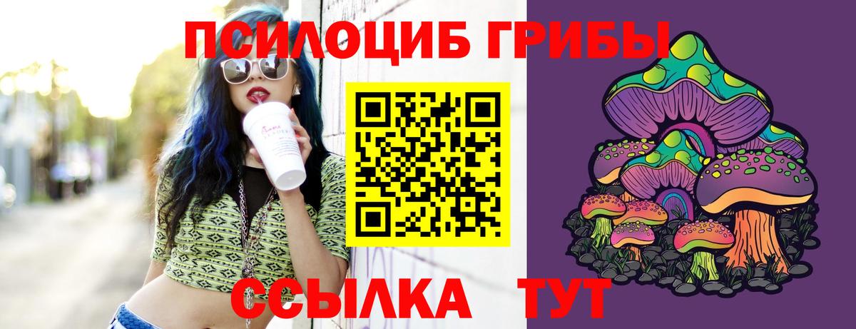 Котлас  Галлюциногенные грибы Psilocybe  купить   Вход с VPN 